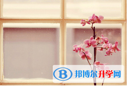四川2021年中考考试要带什么