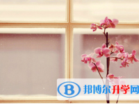 四川2021年中考考试要带什么