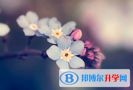 四川2021年中考紧张怎么办