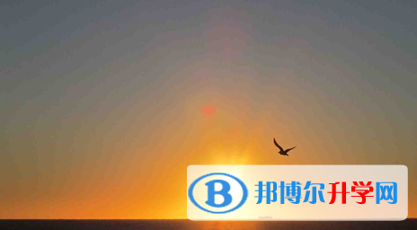 四川2021年今年中考时间是几号