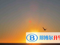 四川2021年今年中考时间是几号