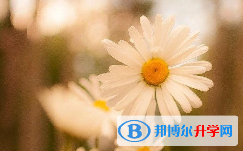 四川2021年孩子中考家长怎么做