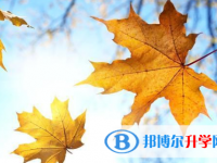 四川2021年孩子因病错过中考怎么办