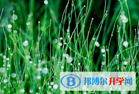四川2021年中考报名网站是什么