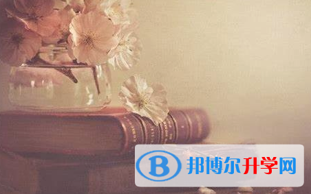 自贡2021年查询中考成绩上哪个网站