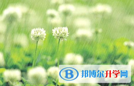 自贡2021年如何查询中考成绩单