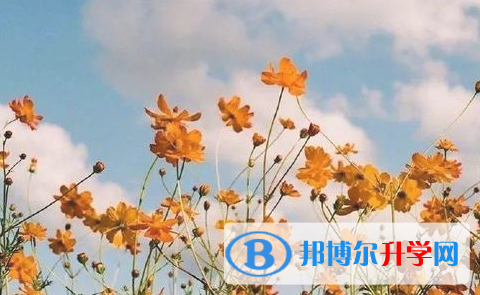 自贡2021年中考查询成绩