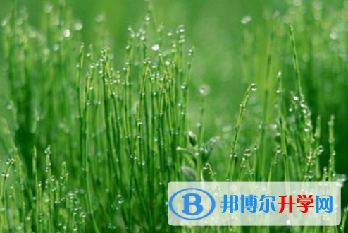 自贡2021年中考招生计划查询