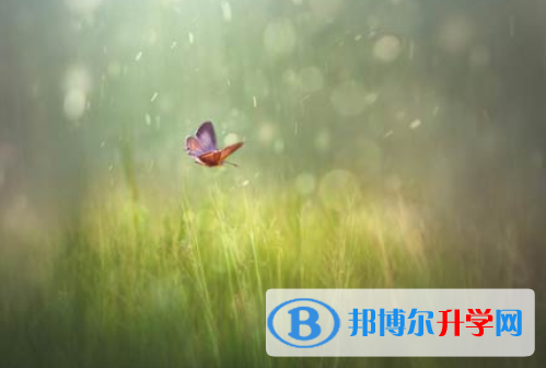自贡2021年中考招生考试查询系统