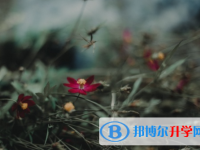 自贡2021年中考注意事项