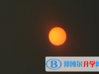 攀枝花2021年查询中考成绩