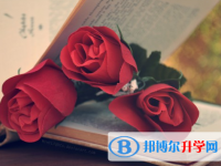 攀枝花2021年中考考号查询