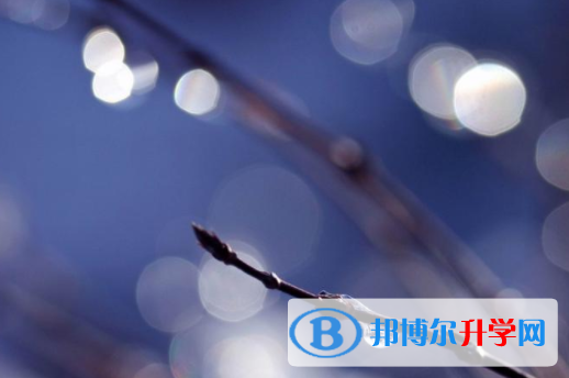 攀枝花2021年中考查询系统的密码记不到了怎么办