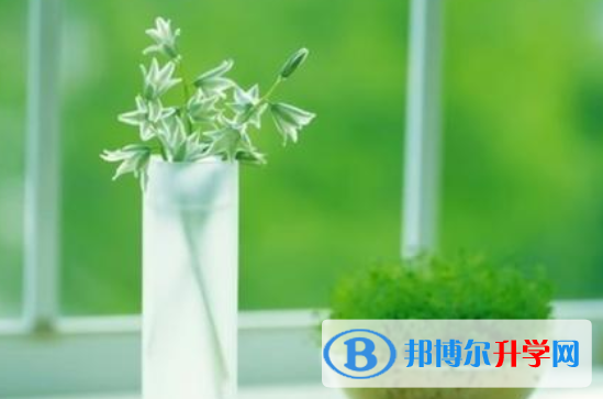 攀枝花2021年中考成绩今年怎么这么高