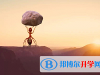 攀枝花2021年中考上的学校