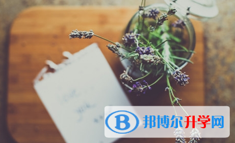 攀枝花2021年中考网上报考信息平台