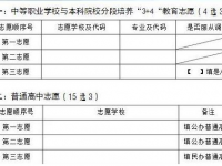 攀枝花2021年中考志愿的样表