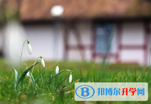 攀枝花2021年今年中考统招线包括哪些区域