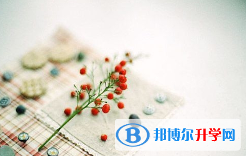 攀枝花2021年今年中考难度
