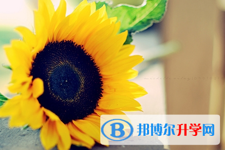 攀枝花2021年中考各科高频考点