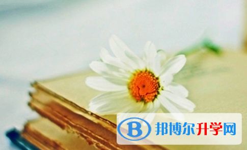 攀枝花2021年中考孩子的营养餐