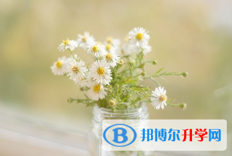 攀枝花2021年中考后计划