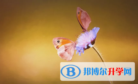 攀枝花2021年中考紧张
