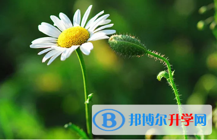 攀枝花2021年中考考试说明