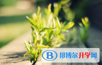 攀枝花2021年中考录取通知书