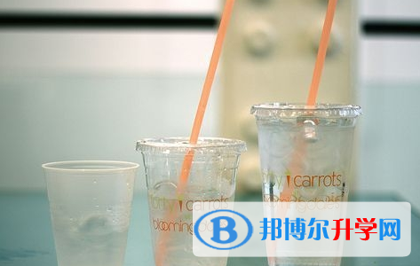 攀枝花2021年中考推荐生自荐信