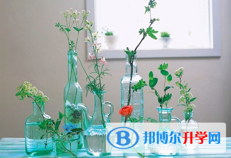 攀枝花2021年中考是否有高价生