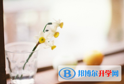 攀枝花2021年中考失利怎么办