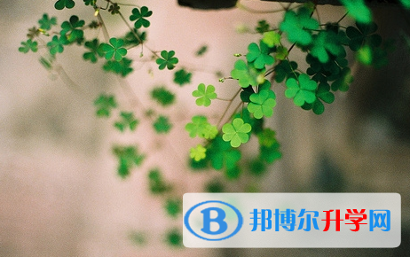 攀枝花2021年中考哪个地方最难