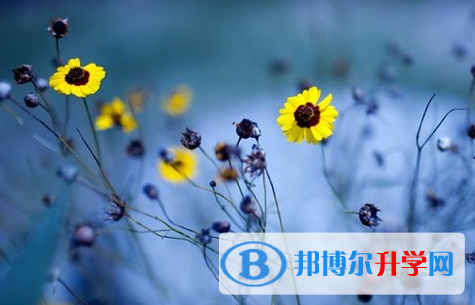 攀枝花2021年中考没考好可以复读吗