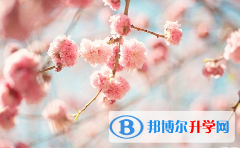 攀枝花2021年中考没考好怎么办