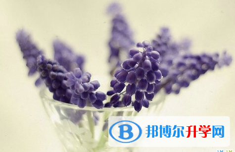攀枝花2021年这次中考多久结束