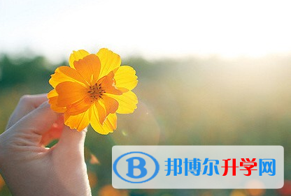 攀枝花2021年中考网络应用服务平台登录