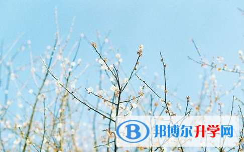 攀枝花2021年中考志愿查询