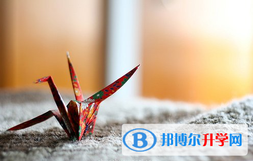 泸州2021年中考网络平台