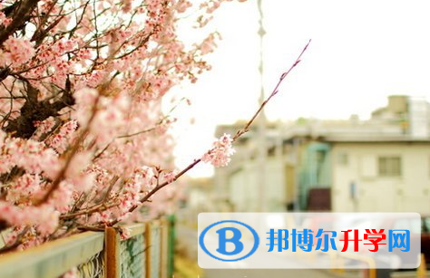 泸州2021年中考招生计划查询