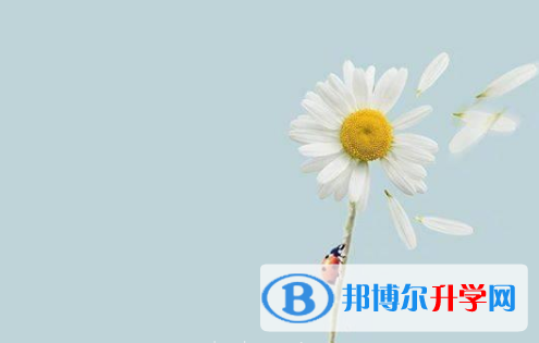 泸州2021年中考政策