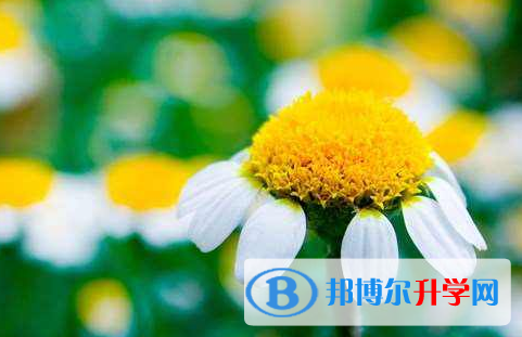 泸州2021年中考自主招生考试学校
