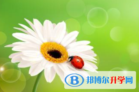 泸州2021年中考自主招生时间