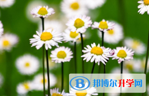 泸州2021年中考最新政策
