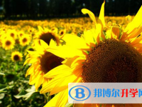泸州2021年今年中考哪些学校有招生
