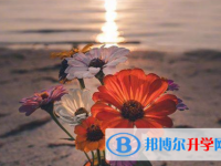 泸州2021年中考报名服务平台