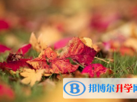 泸州2021年中考的统招和调剂说明