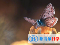 泸州2021年中考各科高频考点