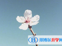 泸州2021年中考技巧和注意事项