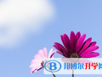 泸州2021年中考紧张